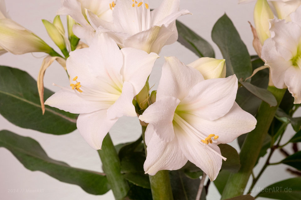 Dekoideen Fotostrecke - Winterliche Wohlfühlorte zu Hause // Foto: MeerART / Ralph Kerpa