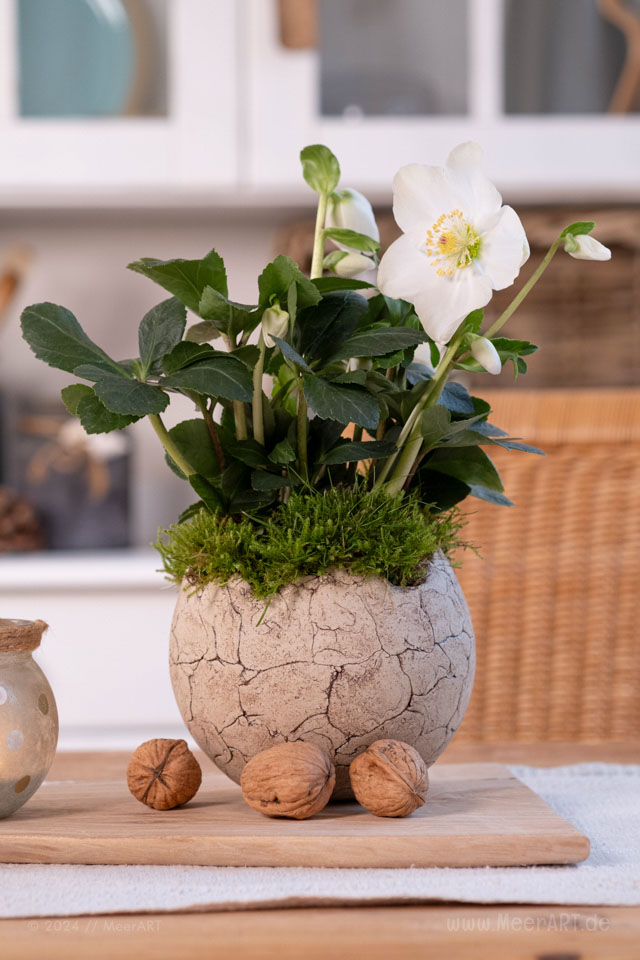 Dekoideen Fotostrecke - Winterliche Wohlfühlorte zu Hause // Foto: MeerART / Ralph Kerpa
