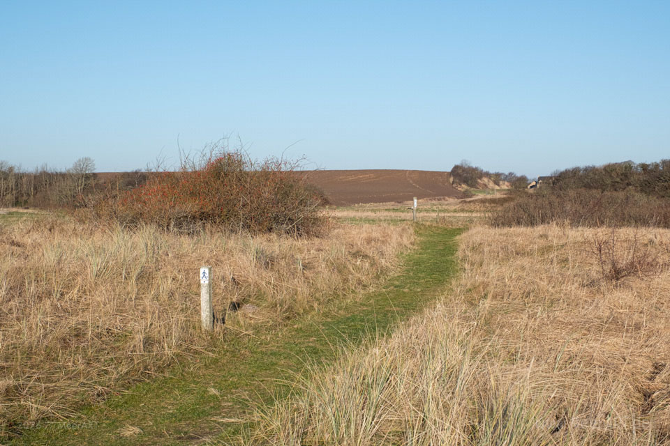 Teilstück des Gendarmstiens bei Kragesand in Sønderjylland