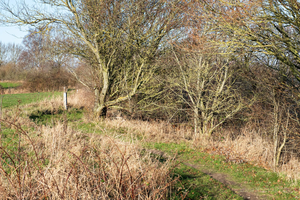 Teilstück des Gendarmstiens zwischen Broager Strand und Gammelmark // Foto: MeerART / Ralph Kerpa