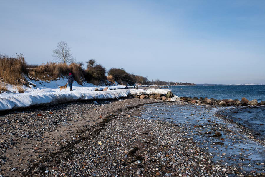 Der Naturstrand in Norgaardholz an der Flensburger Förde im Winter 2026 // Foto: MeerART / Ralph Kerpa