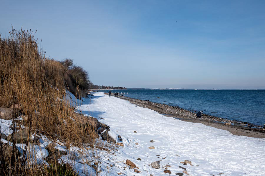 Der Naturstrand in Norgaardholz an der Flensburger Förde im Winter 2026 // Foto: MeerART / Ralph Kerpa