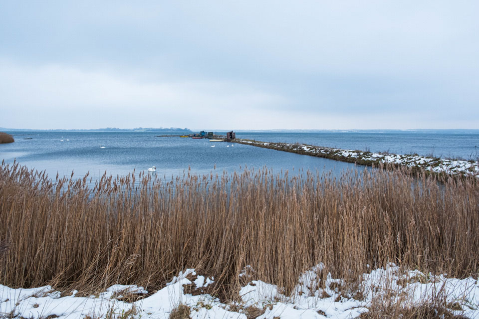 Teilstück des Gendarmstiens am Brunsnæs Strand // Foto: MeerART