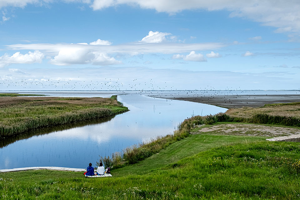 MeerART Services B2B - Advertorials - Fotografie - Bildlizenzen - MeerBILDER