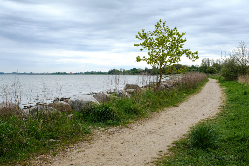 Zwischen Gut und Ostsee: Unterwegs auf einer malerischen Rundtour beim Gut Oestergaard // Foto: MeerART