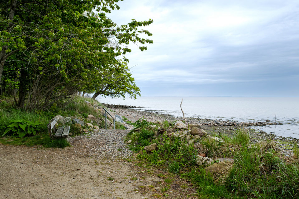 Zwischen Gut und Ostsee: Unterwegs auf einer malerischen Rundtour beim Gut Oestergaard // Foto: MeerART