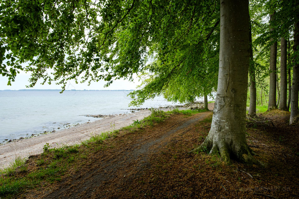 Zwischen Gut und Ostsee: Unterwegs auf einer malerischen Rundtour beim Gut Oestergaard // Foto: MeerART