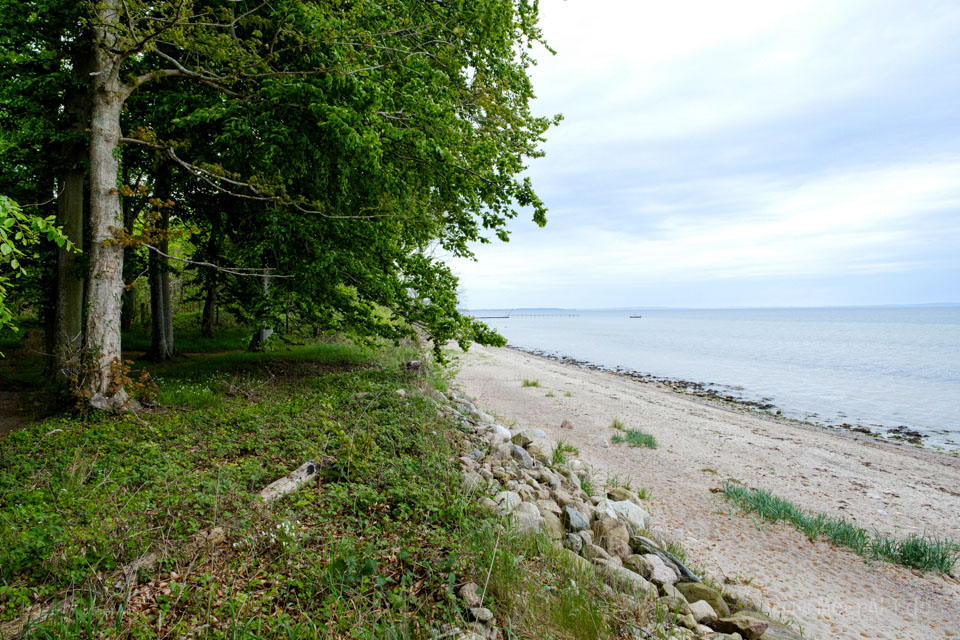 Zwischen Gut und Ostsee: Unterwegs auf einer malerischen Rundtour beim Gut Oestergaard // Foto: MeerART