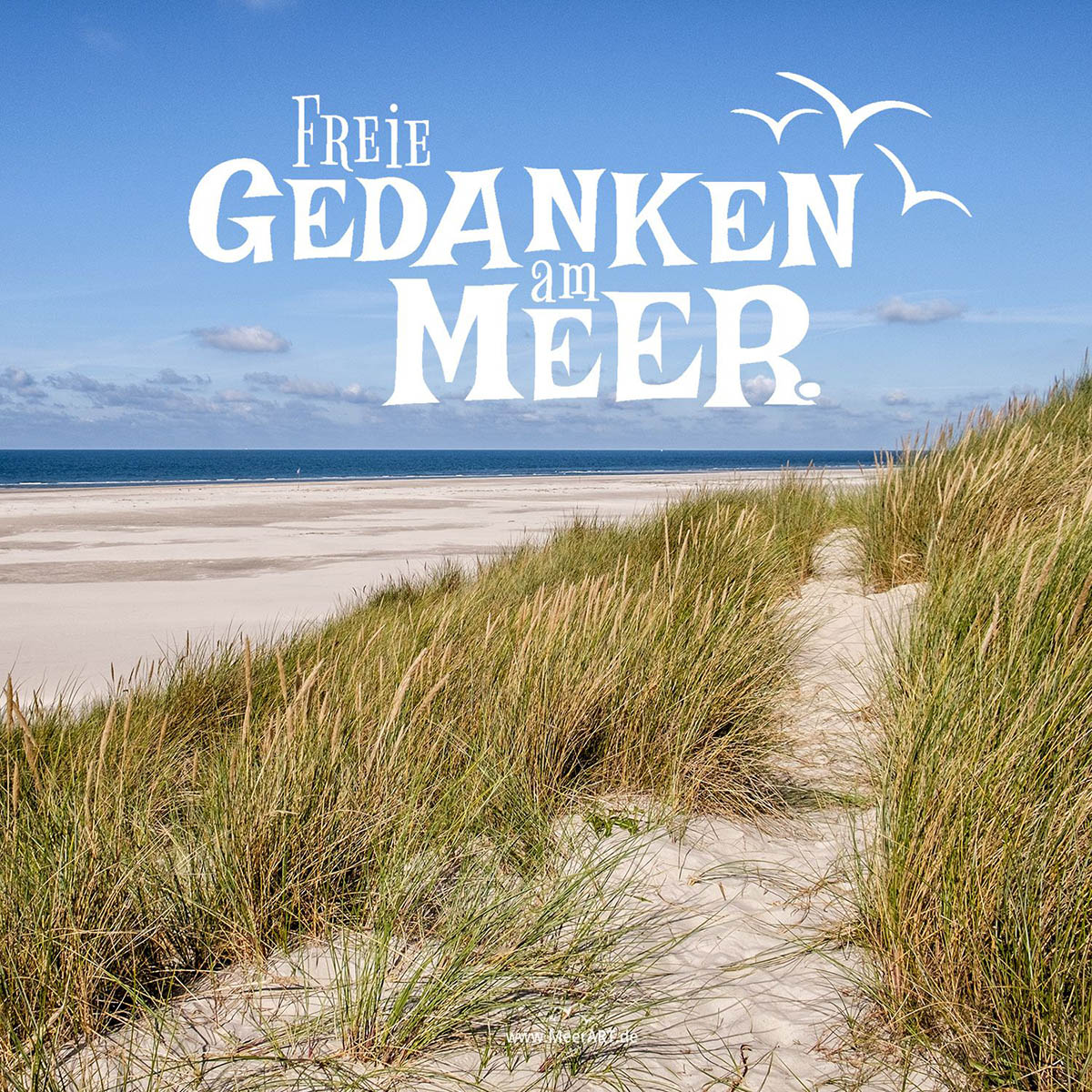 MeerART „Freie Gedanken am Meer“ - Die Lieder zu unserem gleichnamigen Taschenbuch