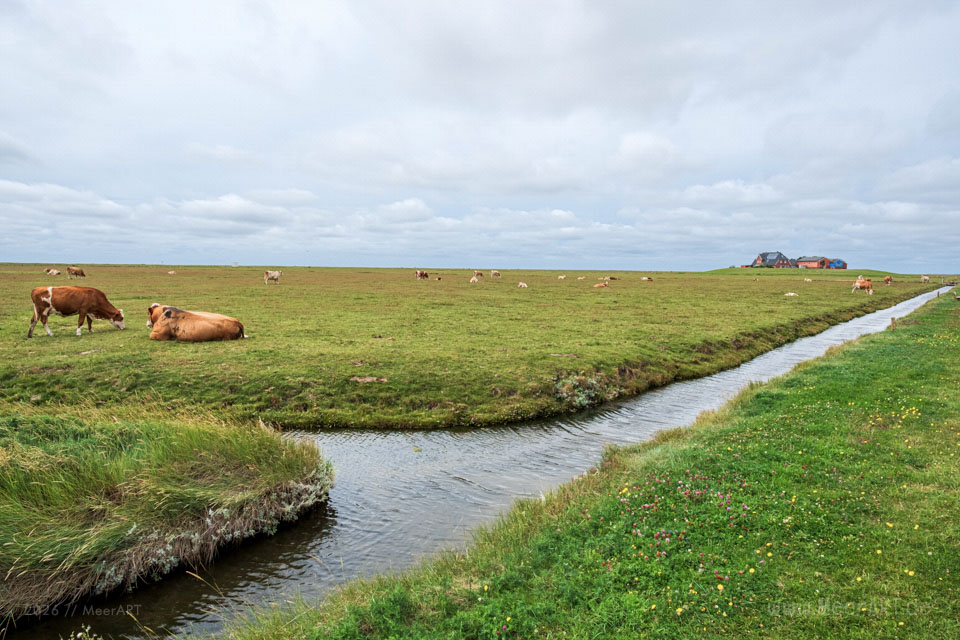 Eine kleine MeerPAUSE auf der Hallig Hooge // Foto: MeerART / Ralph Kerpa