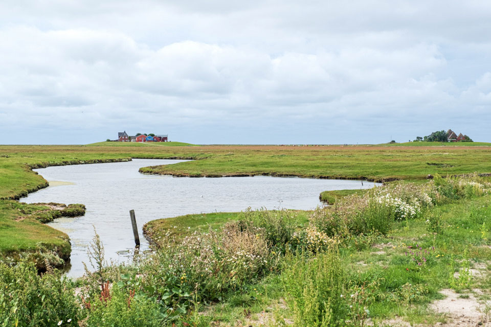 Eine kleine MeerPAUSE auf der Hallig Hooge // Foto: MeerART / Ralph Kerpa