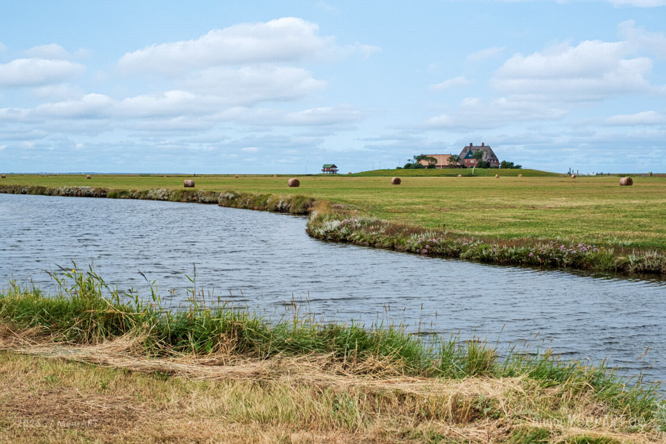 Eine kleine MeerPAUSE auf der Hallig Hooge // Foto: MeerART / Ralph Kerpa