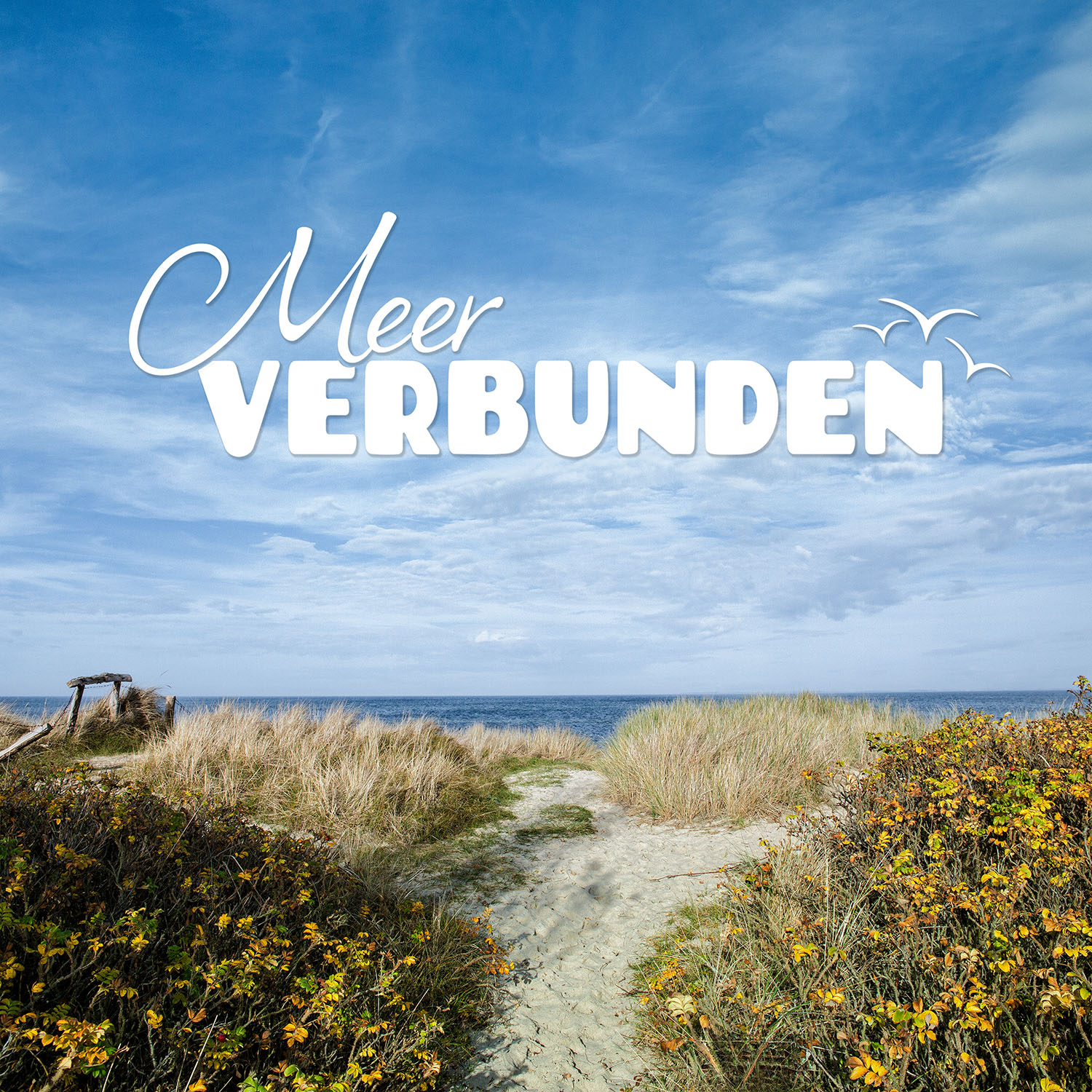 MeerART „MeerVERBUNDEN“ - Begegnungen aus mehr als 10 Jahren MeerART, die geblieben sind.